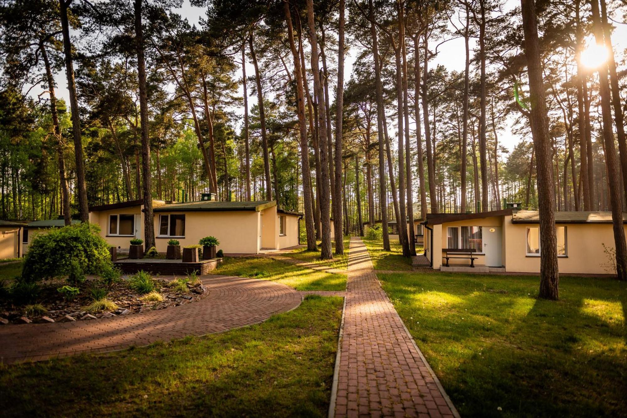 Domki Lesne Uroczysko Ustka Exterior photo
